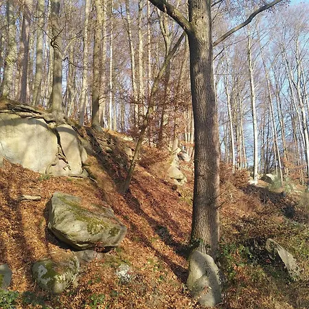 Strandurlaub Am Felsenmeer